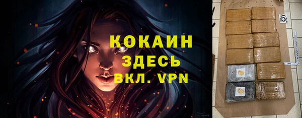 дмт Абаза