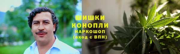 дмт Абаза
