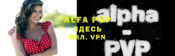 дмт Абаза