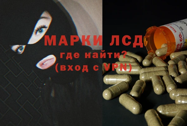 дмт Абаза