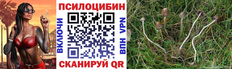 Псилоцибиновые грибы MAGIC MUSHROOMS  Советский 